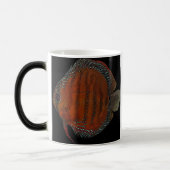 クイペア·ディスクス モーフィングマグカップ (左)