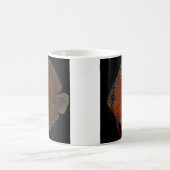 クイペア·ディスクス モーフィングマグカップ (中央)