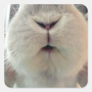 クインシーキス スクエアシール