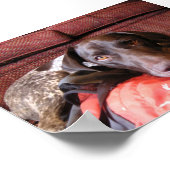 クインシー ポスター (角)