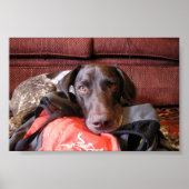 クインシー ポスター (正面)