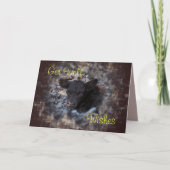 クインシーPinzgauerの子牛5896 -大事な行事を作って下さい カード (正面)