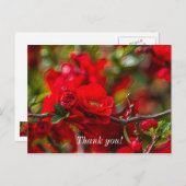 クインス ブランチ ペイント風 サンクス ポストカード (正面/裏面)