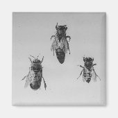 クインドローンワーカービー保の類人猿症 マグネット (正面)