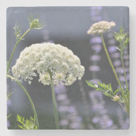 クイーンアンコースター ストーンコースター (正面)