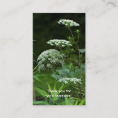 クイーンアンズラチェワイルドフラワー – ダウカスカロタブシ 名刺 (正面)