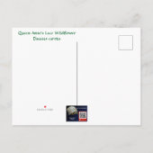 クイーンアンズラチェワイルドフラワー – ダウカスカロタ インビテーションポストカード (裏面)