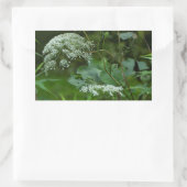 クイーンアンズラチェワイルドフラワー – ダウカスカロタ 長方形シール (バッグ)