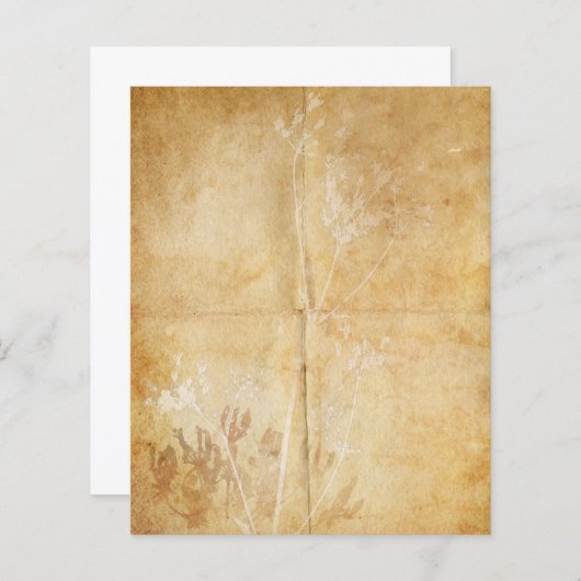 クイーンアンズレースウォーターカラーパーチメント (正面/裏面)