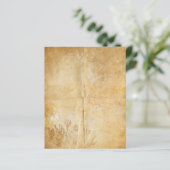 クイーンアンズレースウォーターカラーパーチメント (スタンド正面)