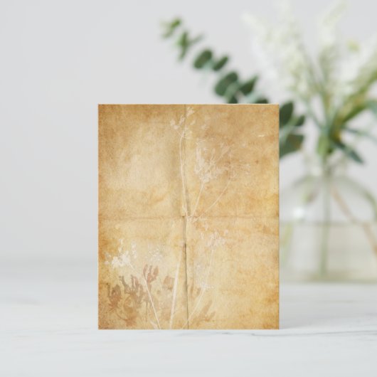 クイーンアンズレースウォーターカラーパーチメント (スタンド正面)