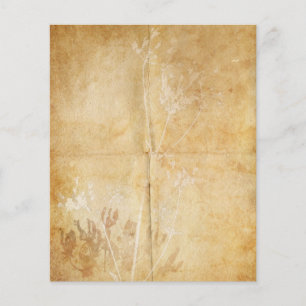 クイーンアンズレースウォーターカラーパーチメント