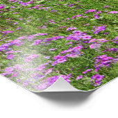 クイーンアンズレースダウカスカロタ)成長 フォトプリント            (角)