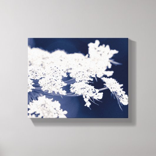 クイーンアンズレースフラワーズキャンバスプリント キャンバスプリント (正面)