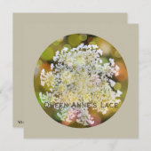 クイーンアンズレースワイルドフローラオンコーラルリーフ シーズンカード (正面/裏面)