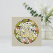 クイーンアンズレースワイルドフローラオンコーラルリーフ シーズンカード (スタンド正面)