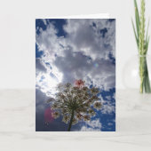 クイーンアンズレースワイルドフローラランドスケープカード カード (正面)