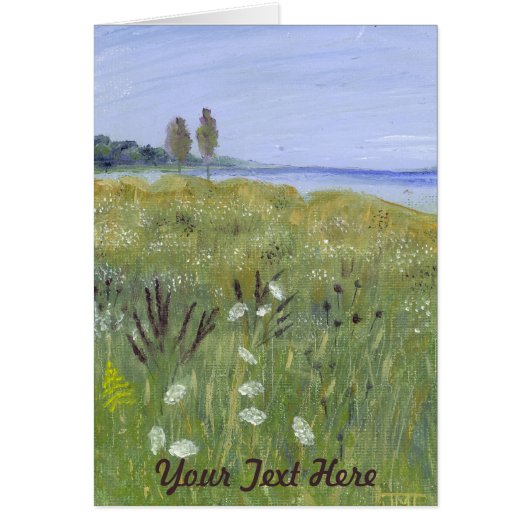 クイーンアンズレース (正面)