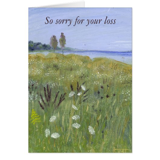 クイーンアンズレース (正面)