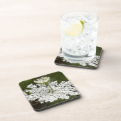 クイーンアンズレース コースター (右側)