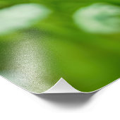 クイーンアンズレース フォトプリント (角)