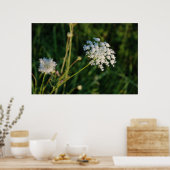 クイーンアンズレース ポスター (キッチン)