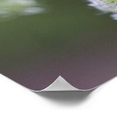 クイーンアンズレース ポスター (角)