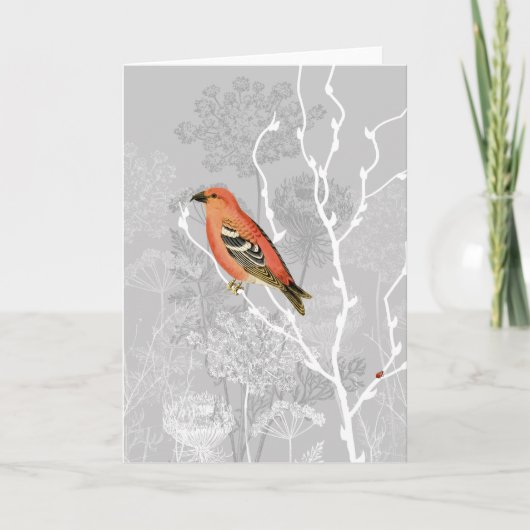 クイーンアンモーニンググリーティングカード カード (正面)