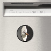 クイーンカーペンターアリ～マグネット マグネット (インサイチュ (食洗機))