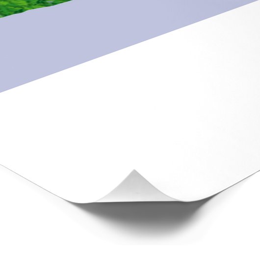 クイーングース ポスター (コーナー)