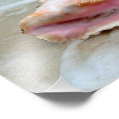 クイーンコンクオンザビーチ フォトプリント            (角)