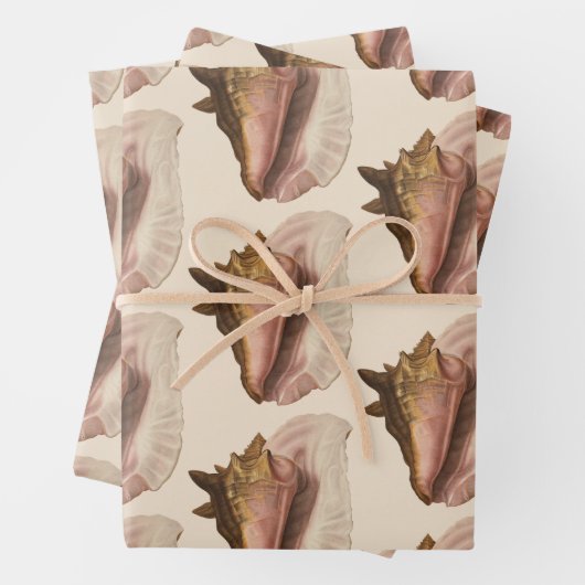 クイーンコンチシェルシーシェル、ヴィンテージマリンライフ ラッピングペーパーシート (インサイチュ)