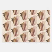 クイーンコンチシェルシーシェル、ヴィンテージマリンライフ ラッピングペーパーシート (正面)