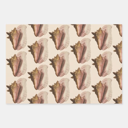 クイーンコンチシェルシーシェル、ヴィンテージマリンライフ ラッピングペーパーシート (正面)