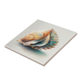 クイーンコンチシェル、水彩、セラミックタイル タイル (側面)