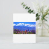 クイーンズタウンのニュージーランド産ルパンでワカチプ湖を渡る ポストカード (スタンド正面)