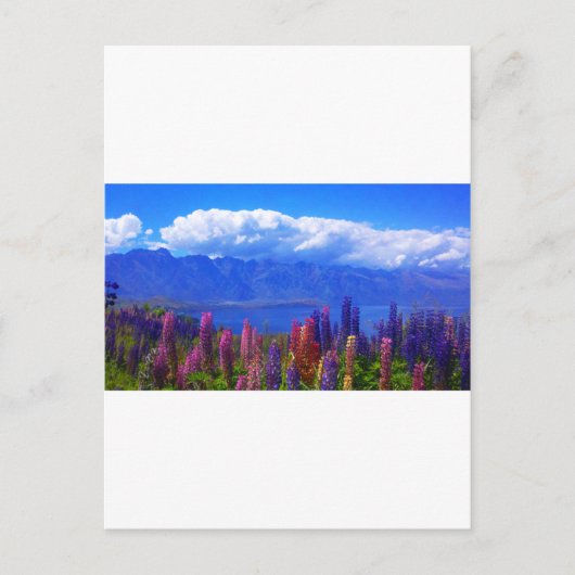 クイーンズタウンのニュージーランド産ルパンでワカチプ湖を渡る ポストカード (正面)