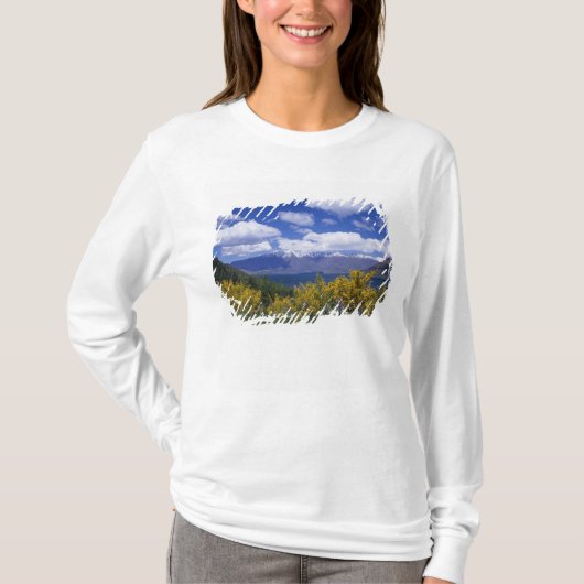 クイーンズタウンのワカティプ湖とリマーカブルズ Tシャツ (正面)