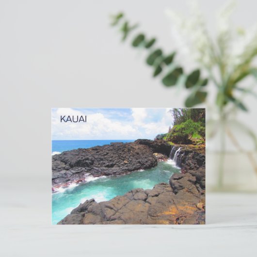 クイーンズバス、カウアイ、ハワイはがき ポストカード (スタンド正面)