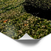 クイーンズパークトゥーンバの美しい像 ポスター (コーナー)