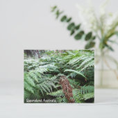 クイーンズランドオーストラリア郵便はがき ポストカード (スタンド正面)