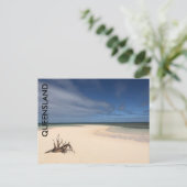クイーンズランドビーチライフ葉書 ポストカード (スタンド正面)
