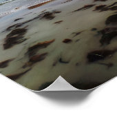 クイーンズリフ夢のポスター ポスター (角)