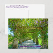 クイーンズリースナポリ植物園，フロリダ ポストカード (正面/裏面)