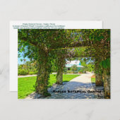 クイーンズリースナポリ植物園,フロリダ ポストカード (正面/裏面)