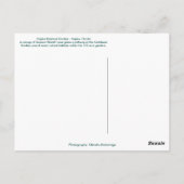 クイーンズリースナポリ植物園，フロリダ ポストカード (裏面)