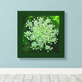 クイーンズレース キャンバスプリント (インサイチュ (ウッドフロア))