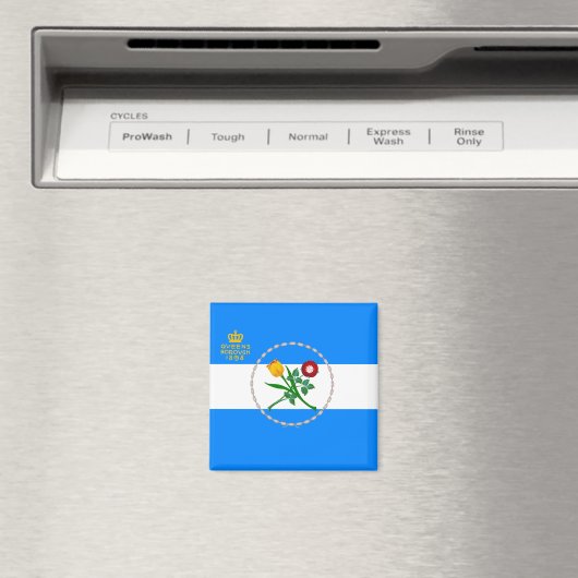 クイーンズ州旗（ニューヨーク市特別区） マグネット (インサイチュ (食洗機))