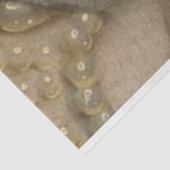 クイーンデクページ紙 薄葉紙 (詳細)