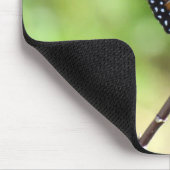 クイーンバタフライと(昆虫)オオカバマダラ、モナークキャタピラーマウスパッド マウスパッド (コーナー)